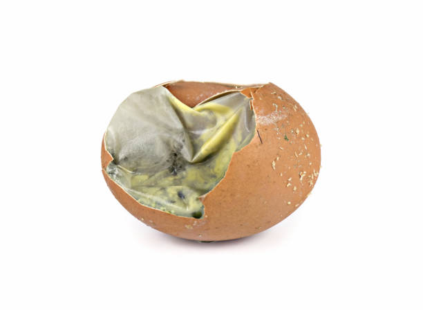 Meaning of Dreaming About Eating Rotten Egg
