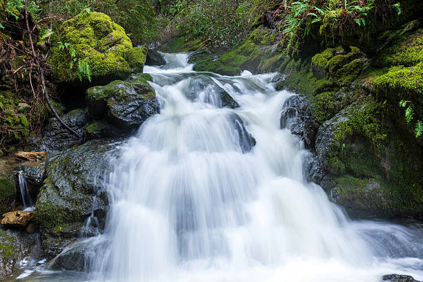 Meaning of Dreaming About Hearing Running Water