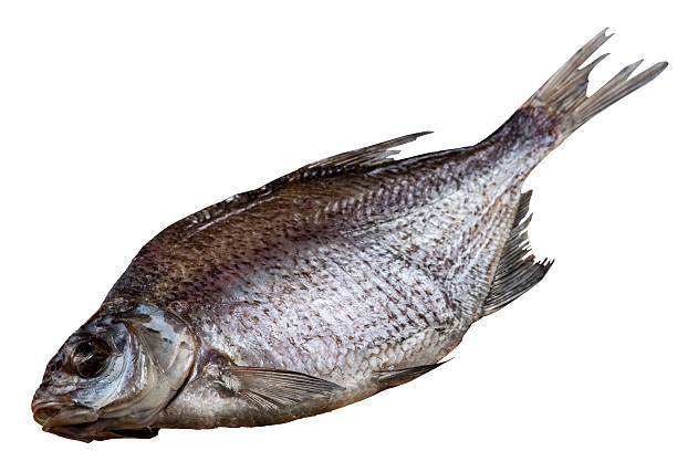 Meaning of Dreaming About Someone Eating Raw Fish